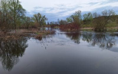 Wyprawa na kajaki po okresie pandemii